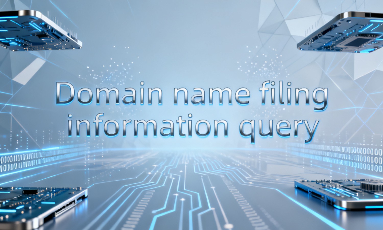 Domain name filing information query