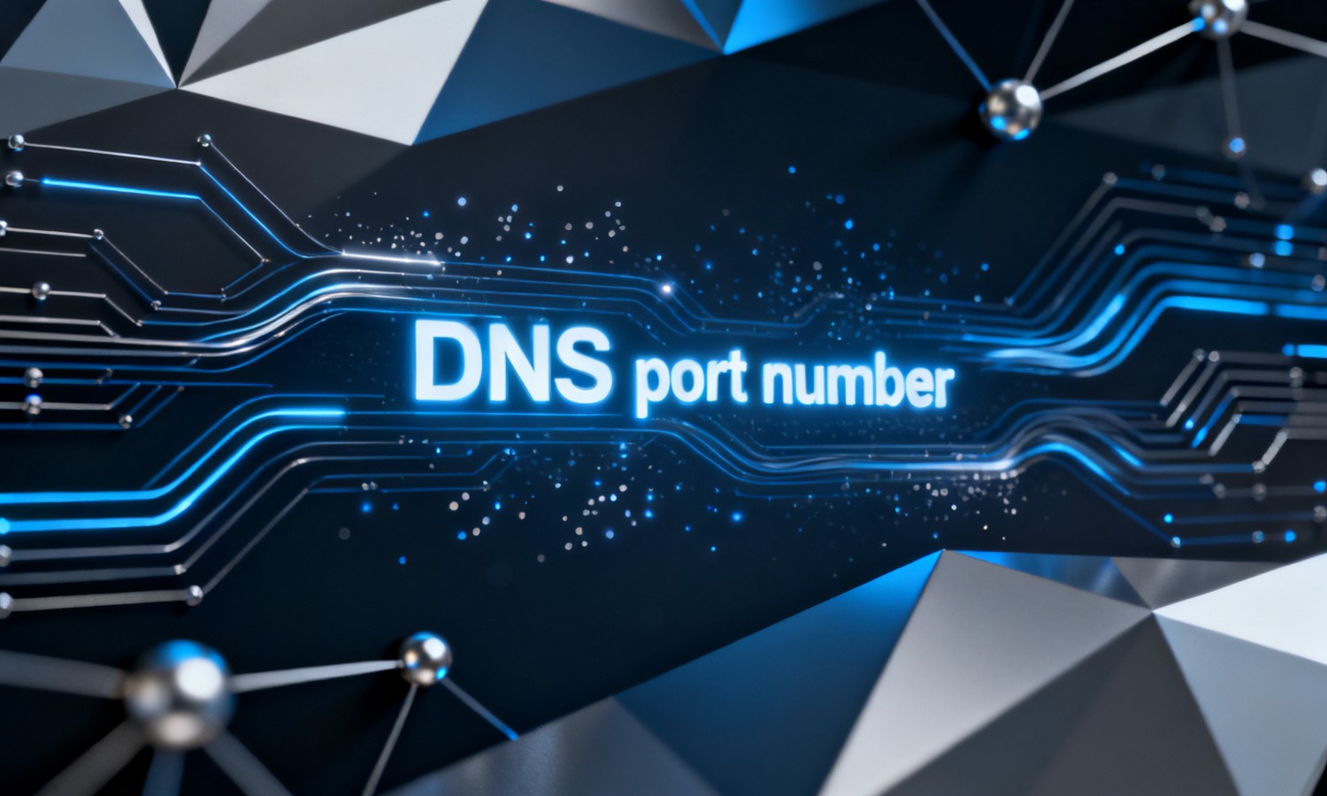 DNS port number