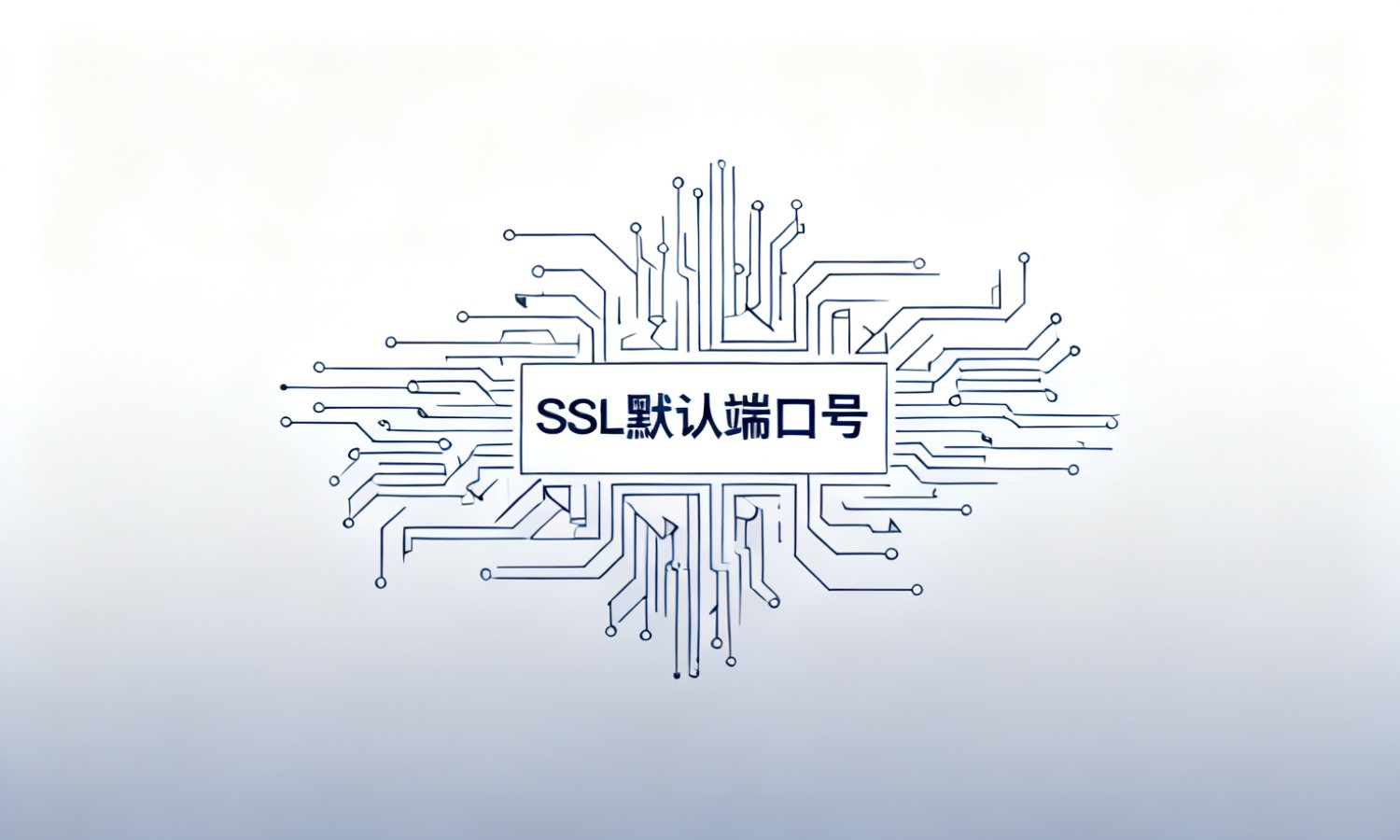 SSL默认端口号