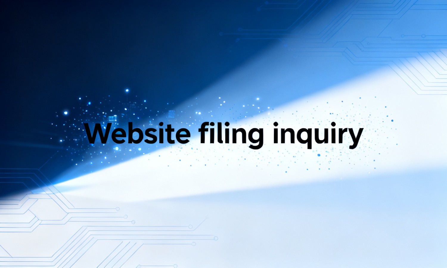 Website filing inquiry