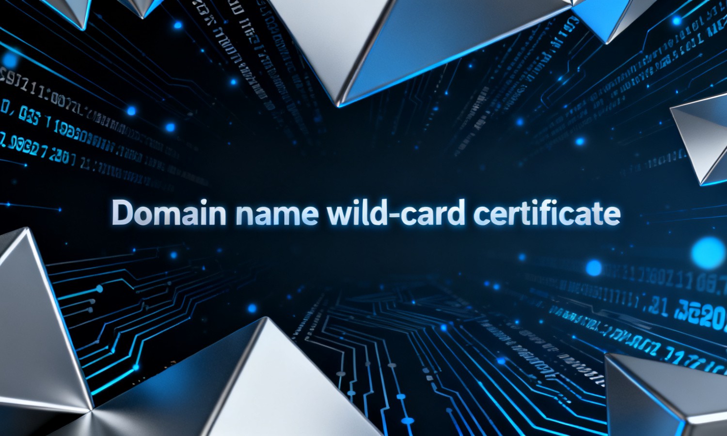 Domain name wild-card certificate