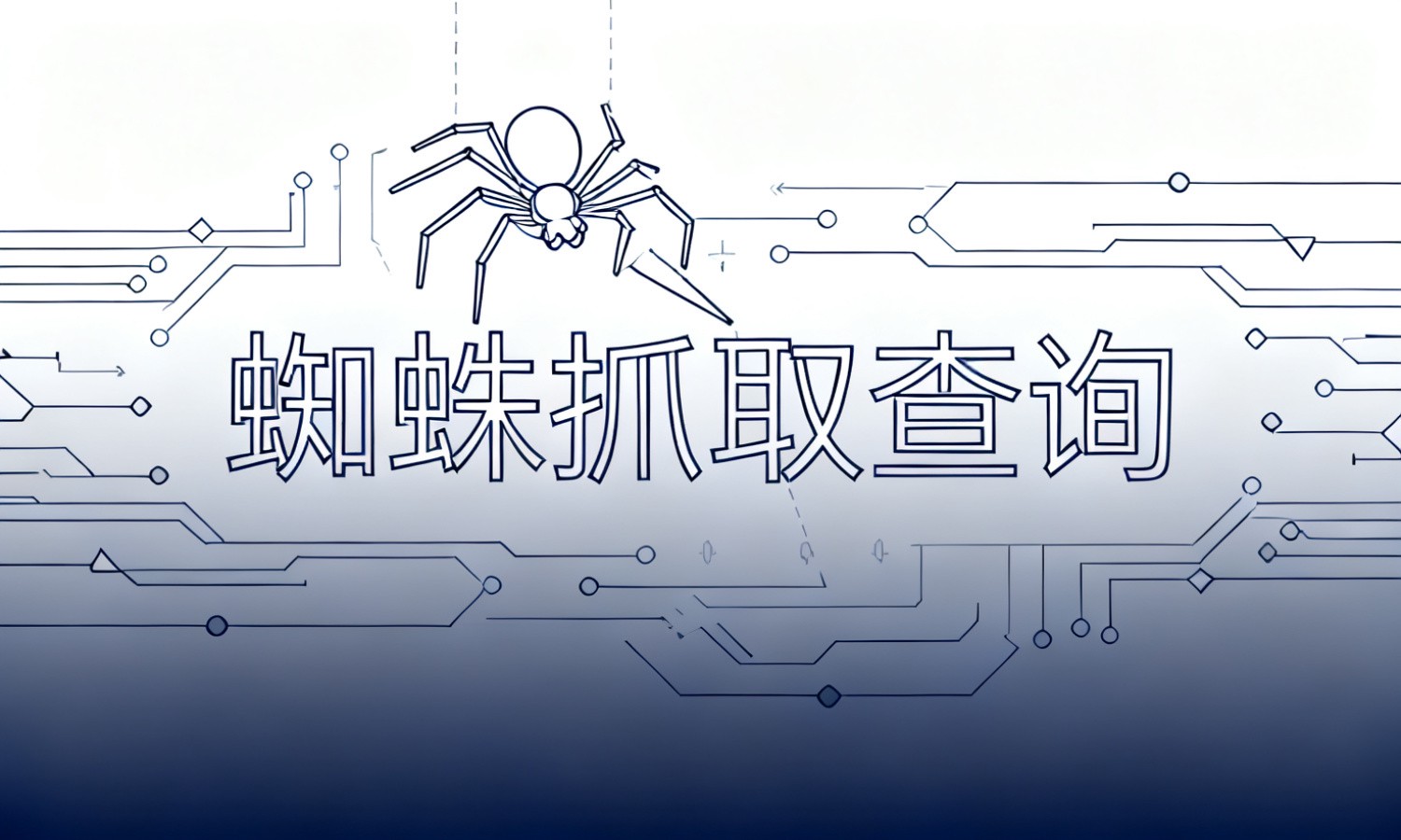 蜘蛛抓取查询