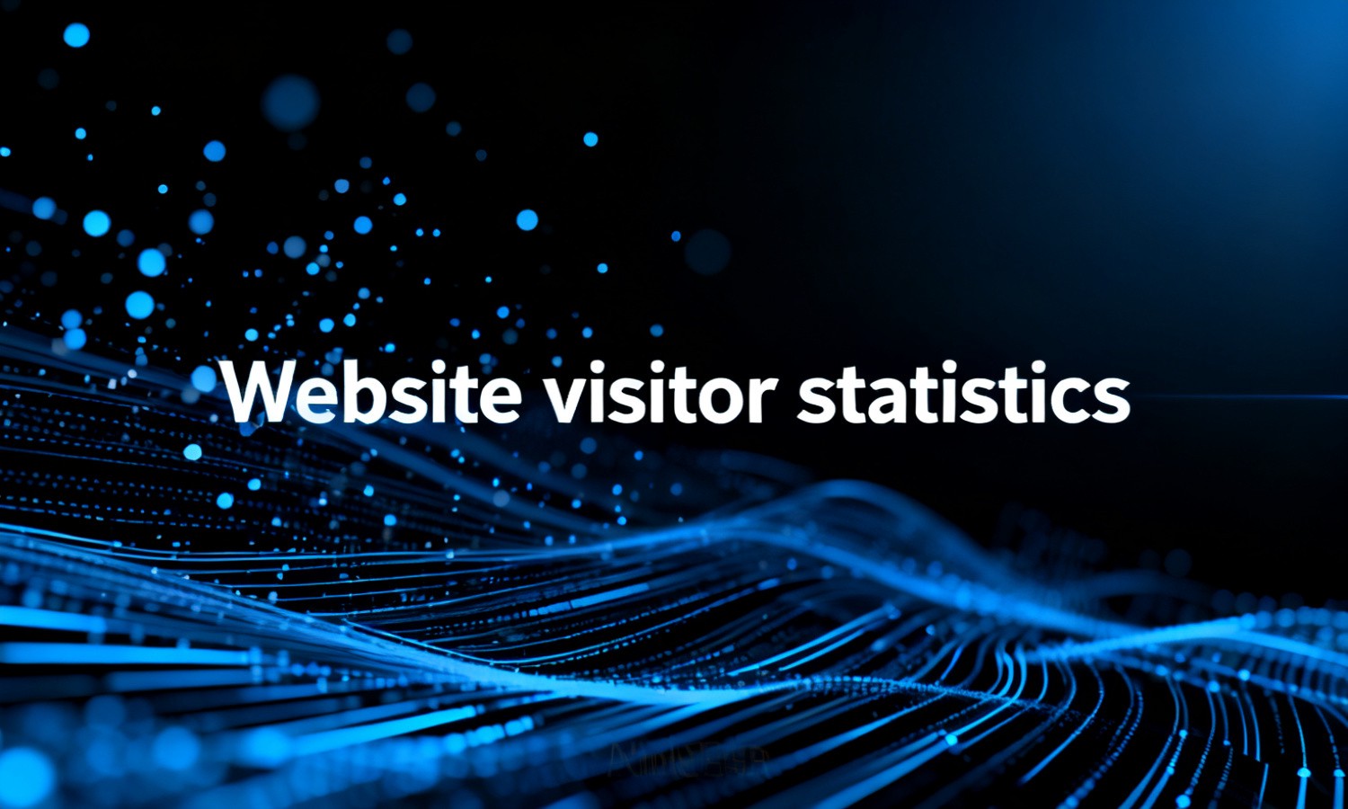 Website visitor statistics