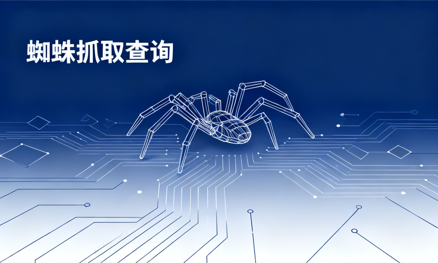 蜘蛛抓取查询