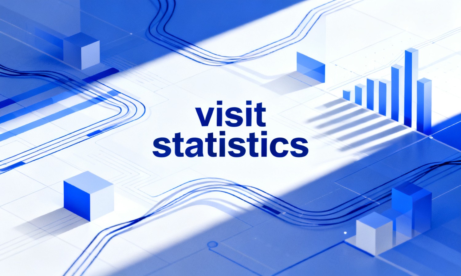 visit statistics