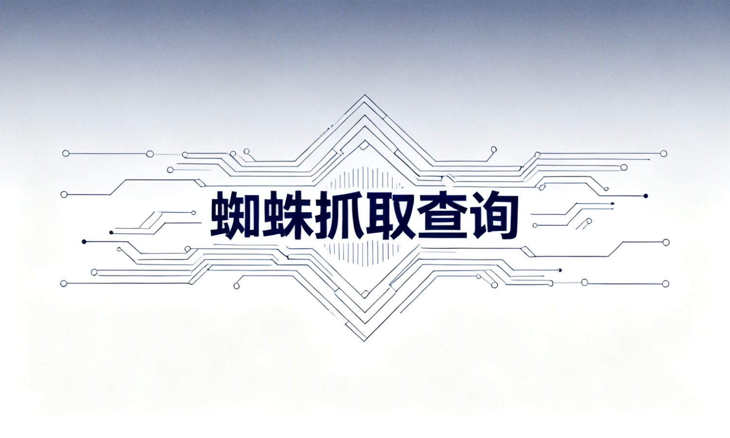 蜘蛛抓取查询