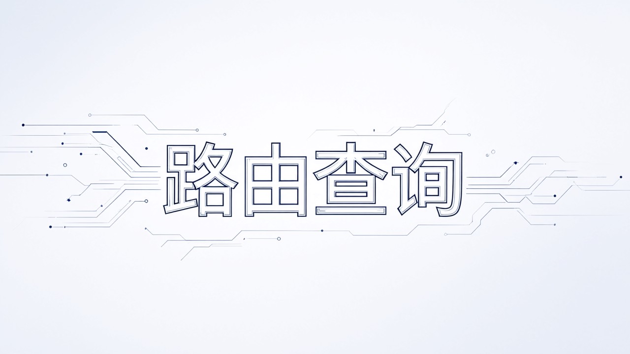 路由查询