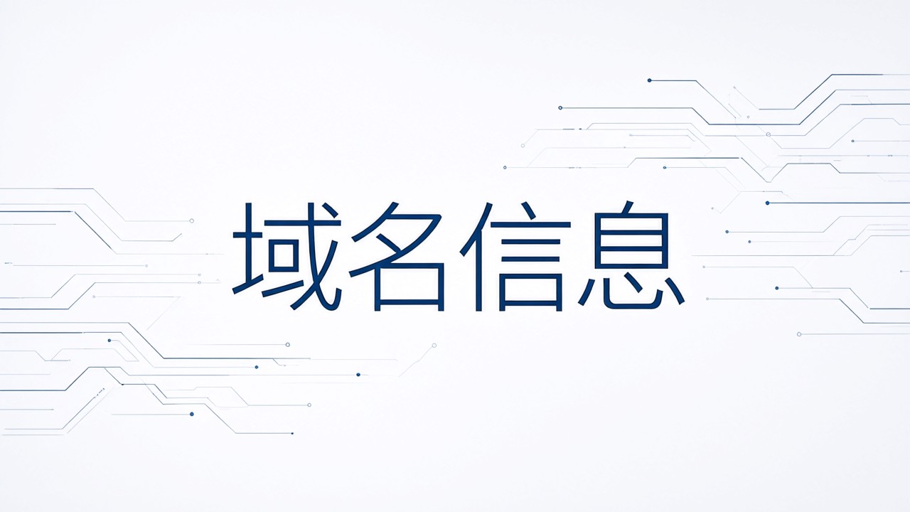 域名信息