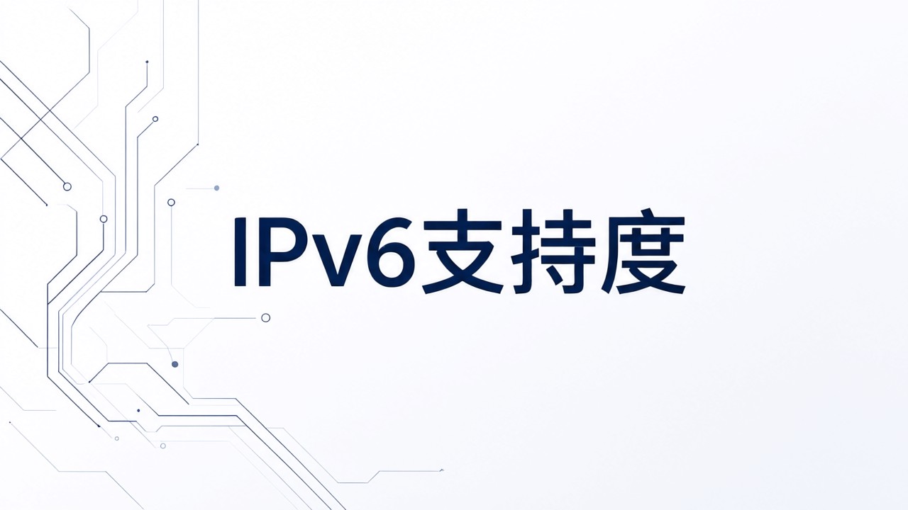 IPv6支持度