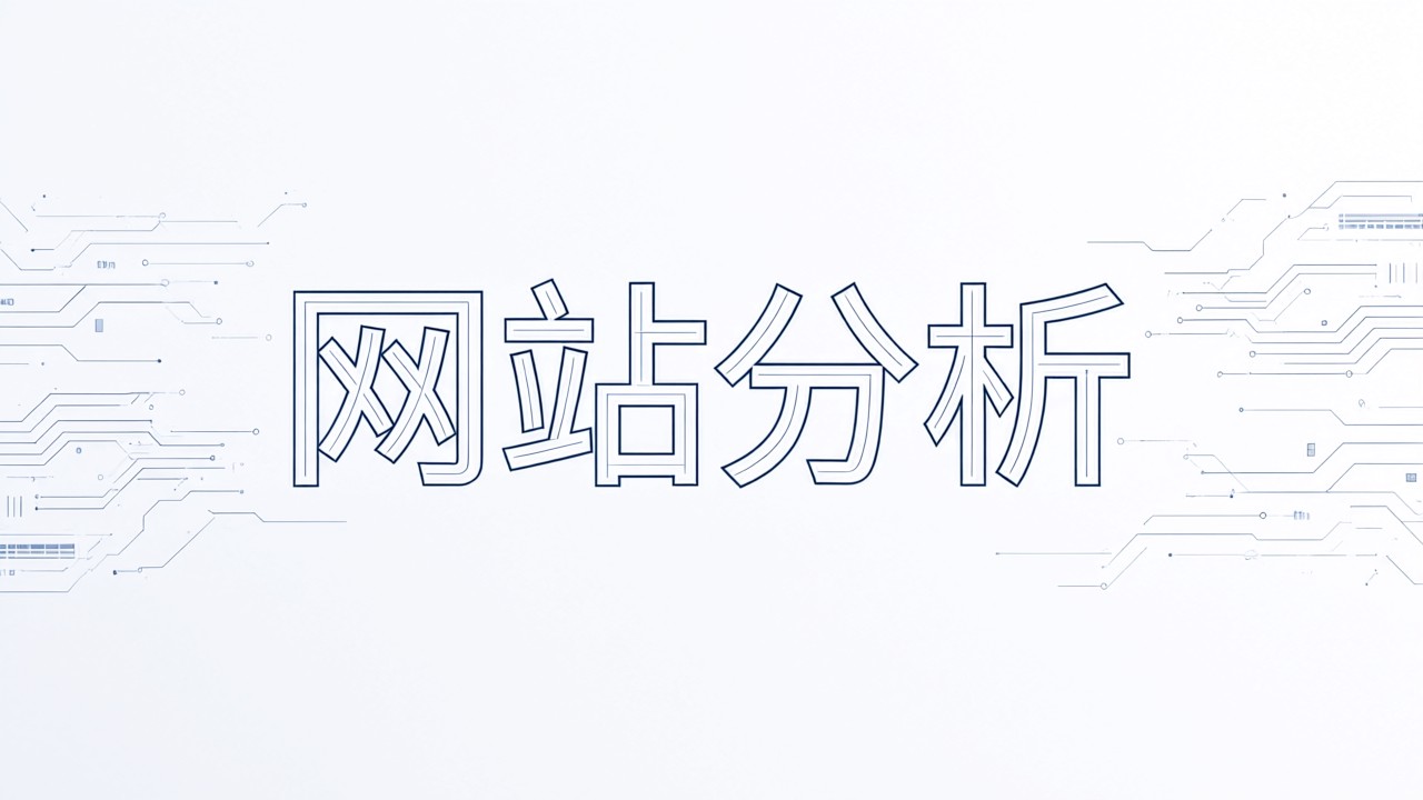 网站分析