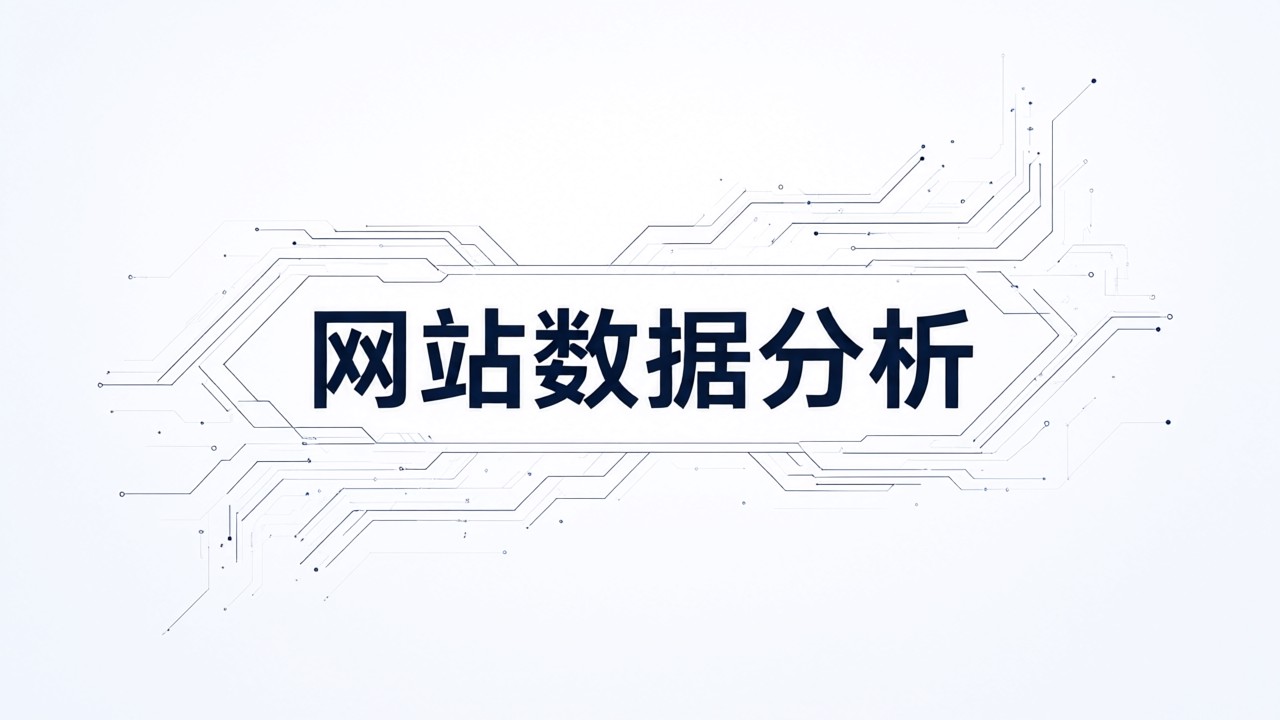 网站数据分析