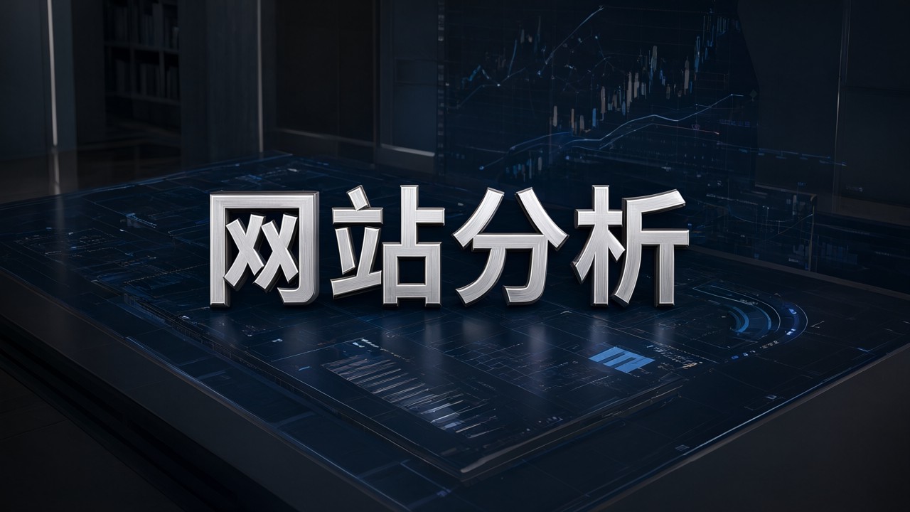 网站分析
