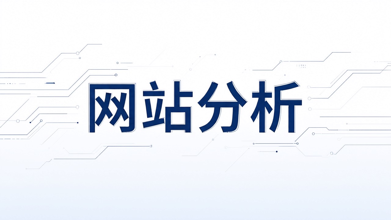 网站分析
